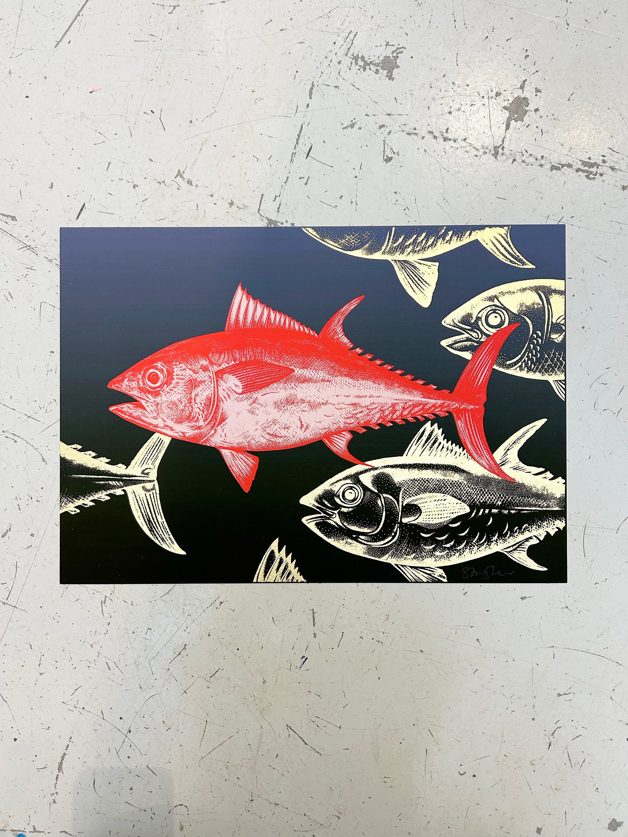BLUEFIN TUNA - CORAL