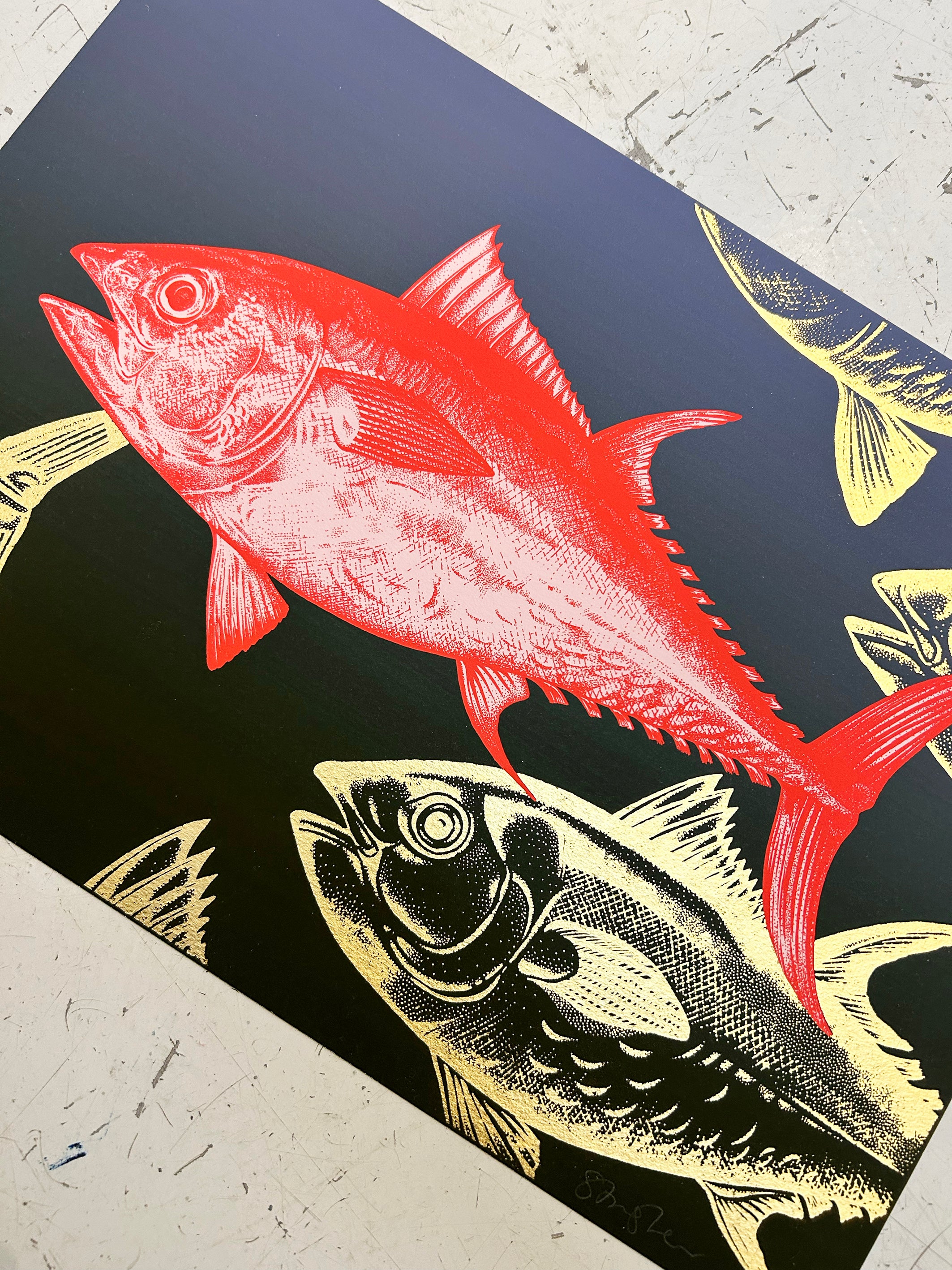 BLUEFIN TUNA - CORAL