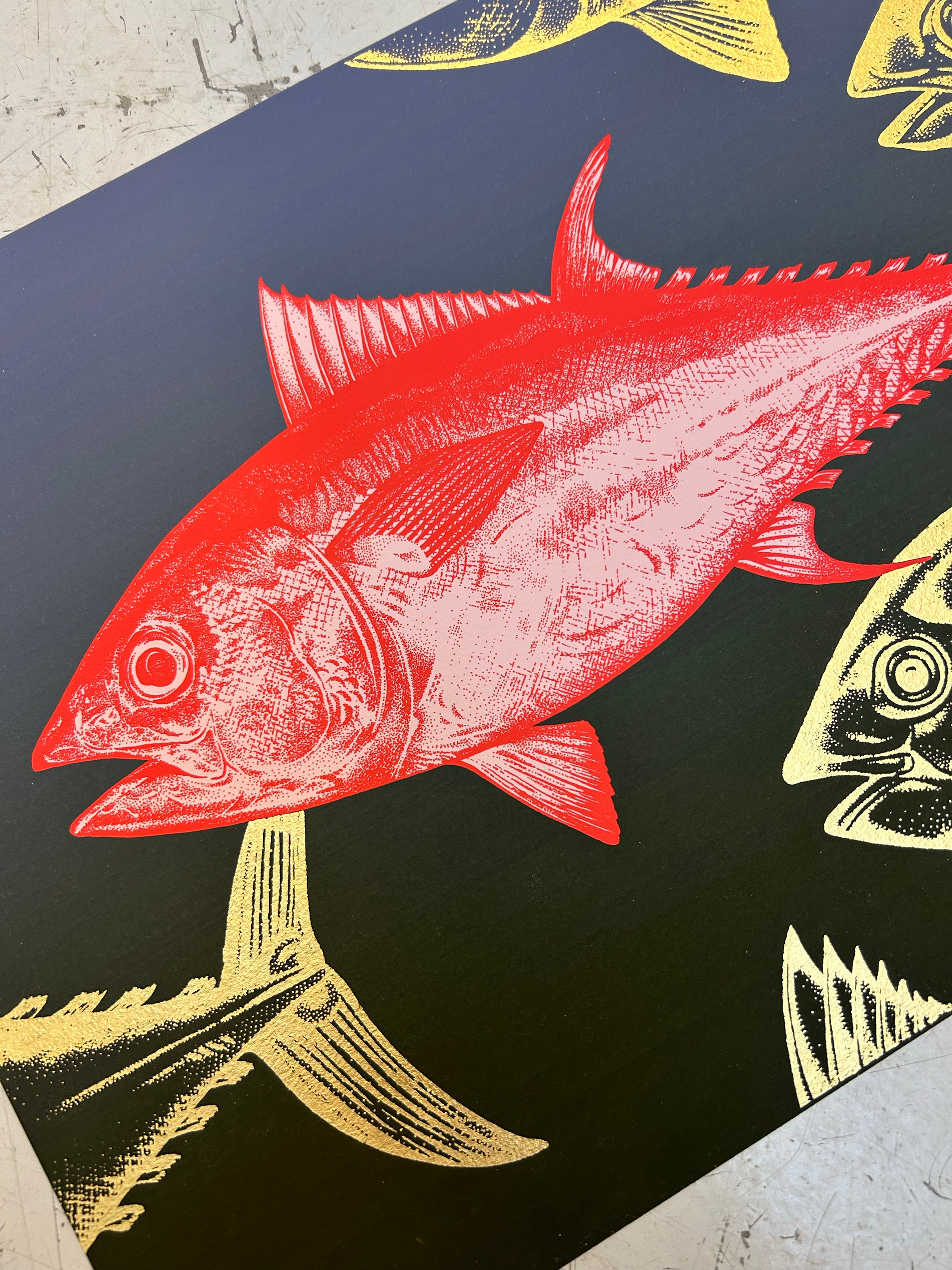 BLUEFIN TUNA - CORAL