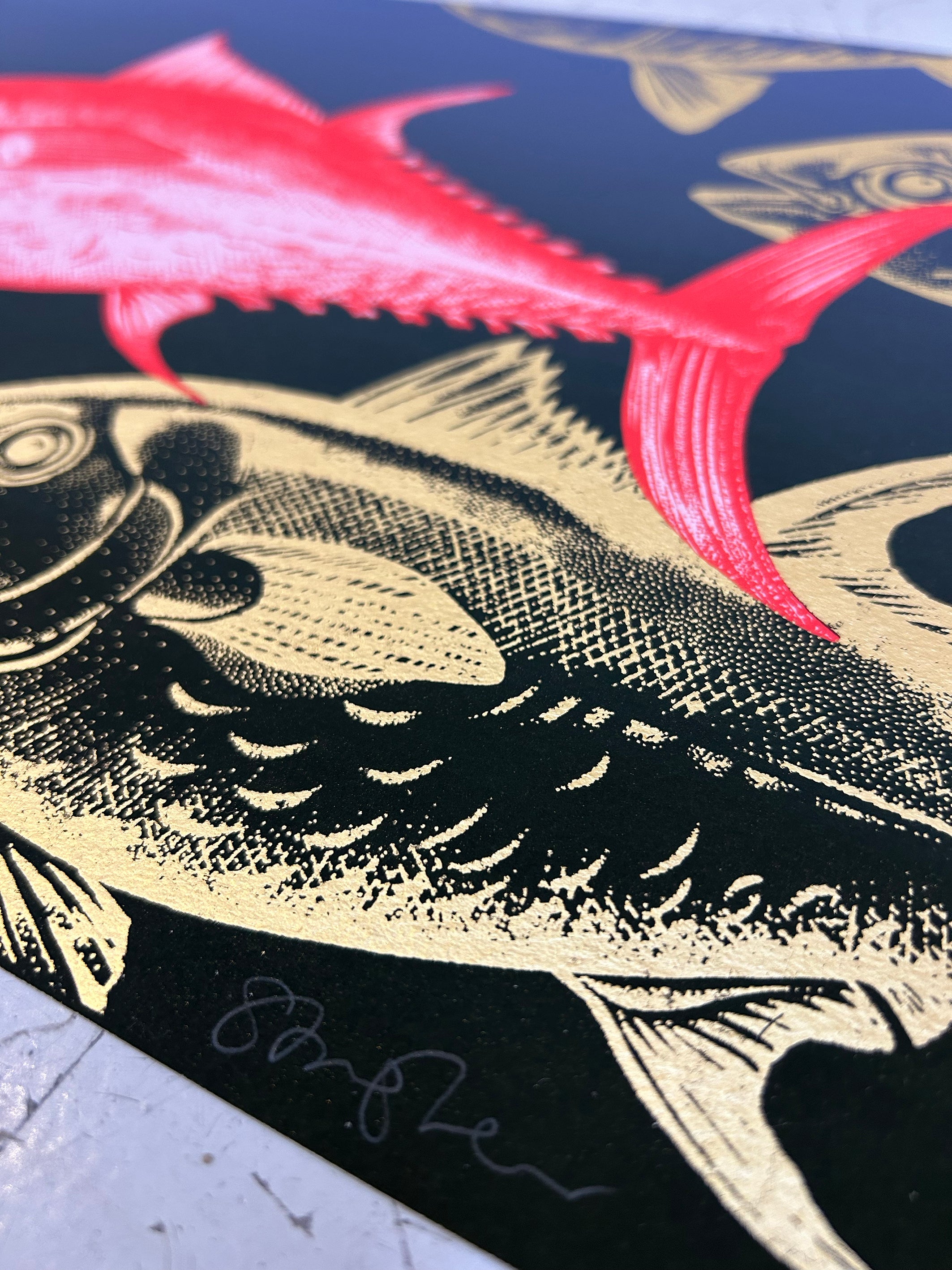 BLUEFIN TUNA - CORAL