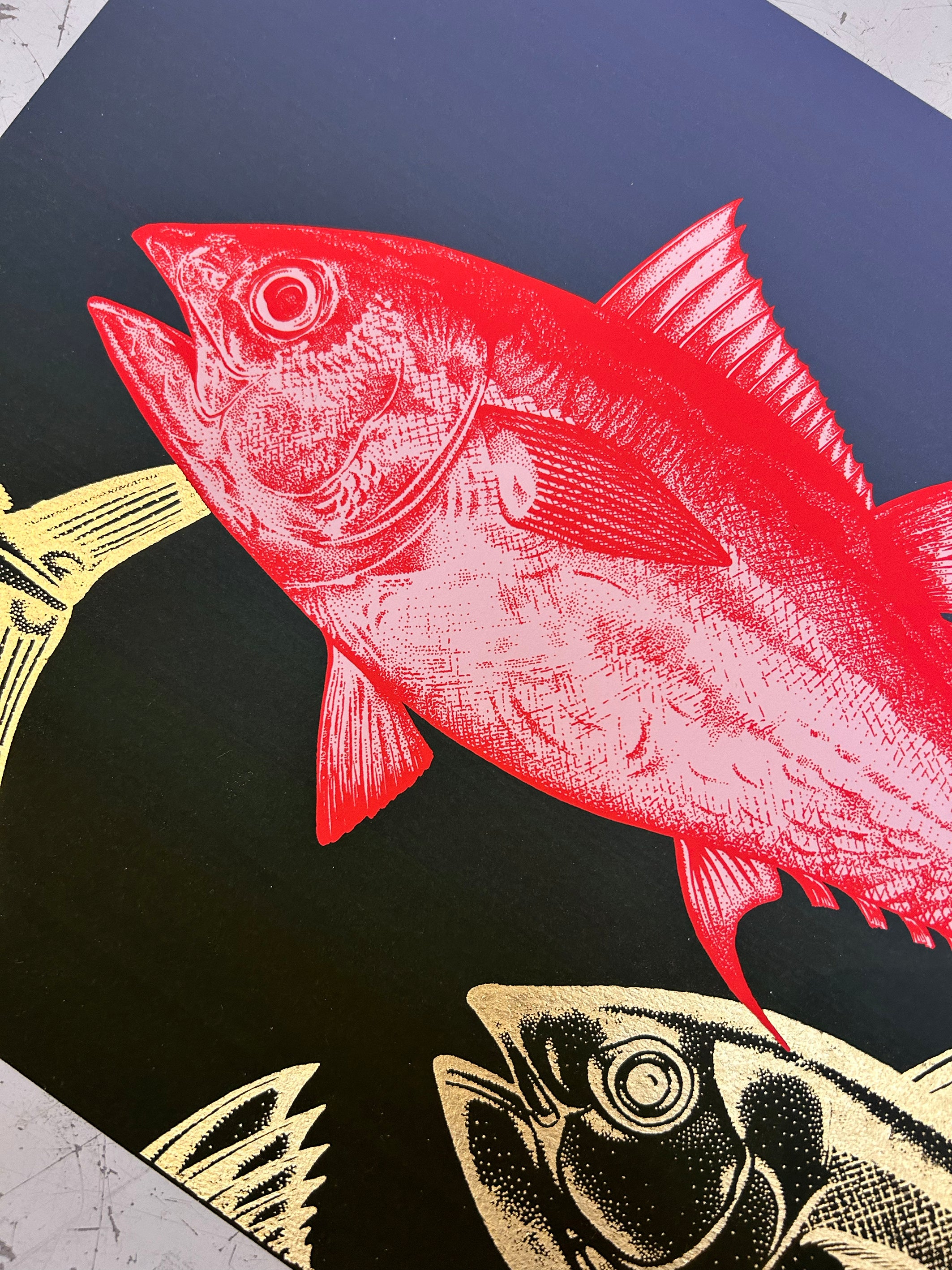 BLUEFIN TUNA - CORAL