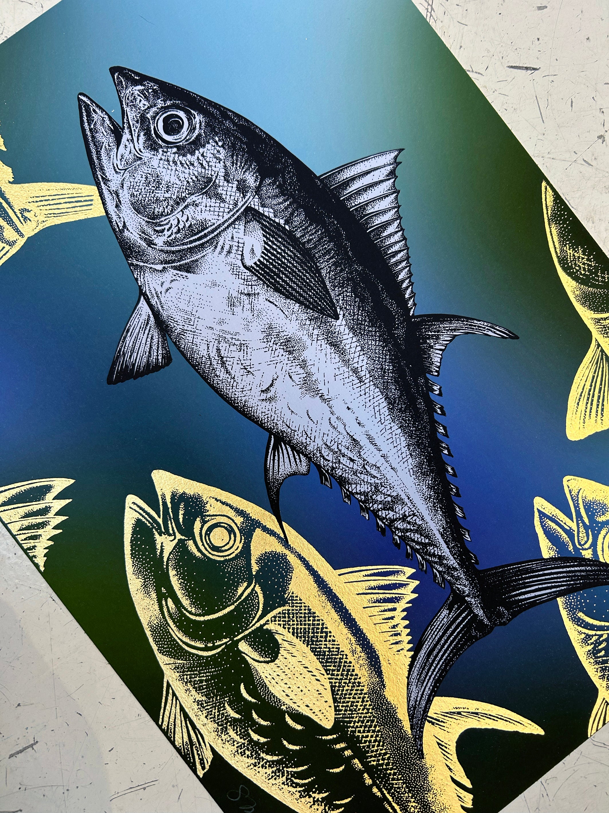 BLUEFIN TUNA - OCEAN