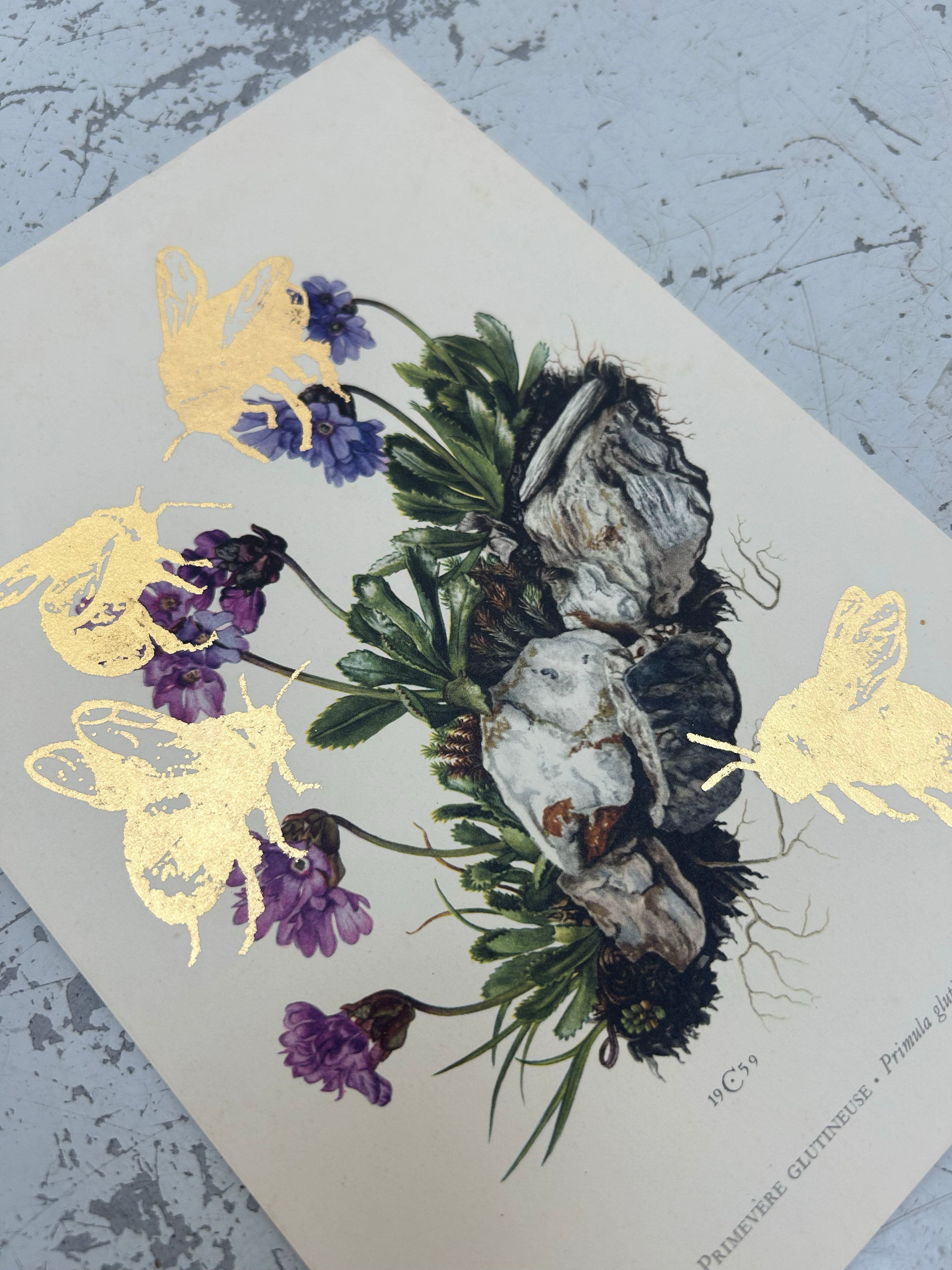MORE BEES PLEASE (DROP 2) #3
